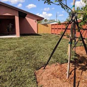 5918 LLC - Conversion by Cruz Construction Group